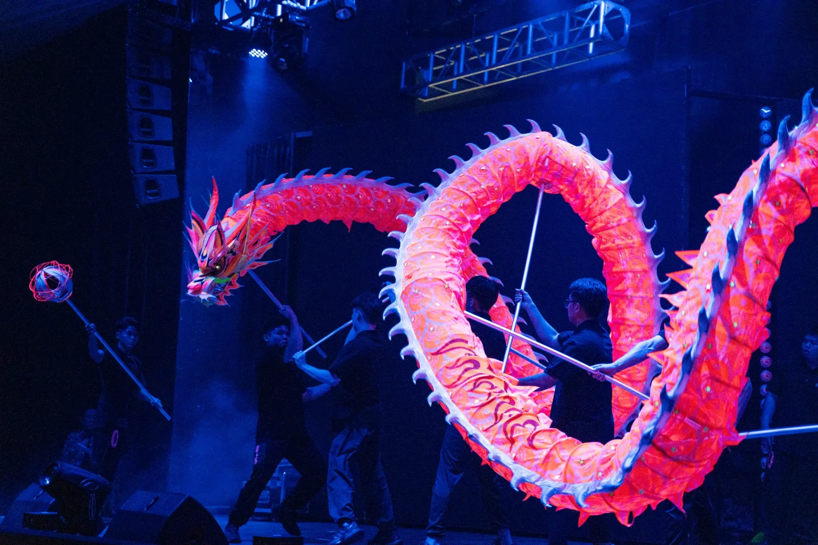 Dragon rose ondulant sur une scène éclairée en bleu