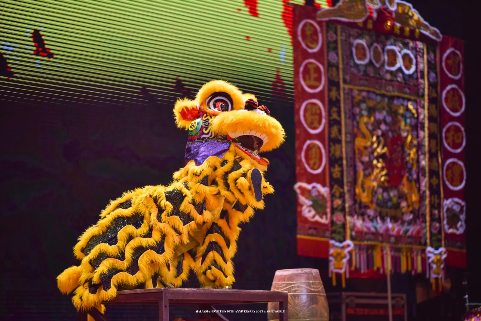 Lion jaune prêt à danser